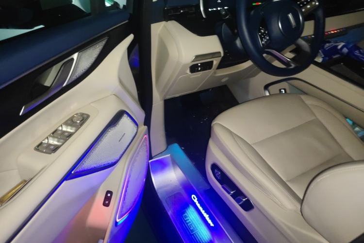 Used Wey Gaoshan 2023 Four-Wheel Drive Flagship Edition Driver Seat