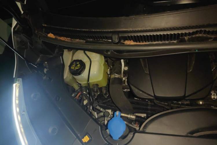 Used Wey Gaoshan 2023 Four-Wheel Drive Flagship Edition Engine Bay Right