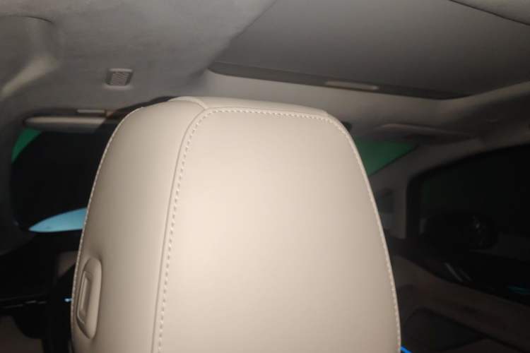 Used Wey Gaoshan 2023 Four-Wheel Drive Flagship Edition Headliner