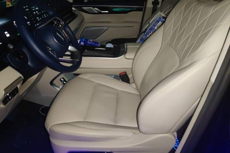 Used Wey Gaoshan 2023 Four-Wheel Drive Flagship Edition Left Front Seat