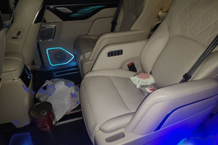 Used Wey Gaoshan 2023 Four-Wheel Drive Flagship Edition Left Rear Seat