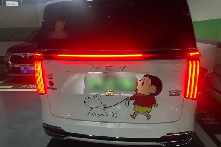 Used Wey Gaoshan 2023 Four-Wheel Drive Flagship Edition Rear