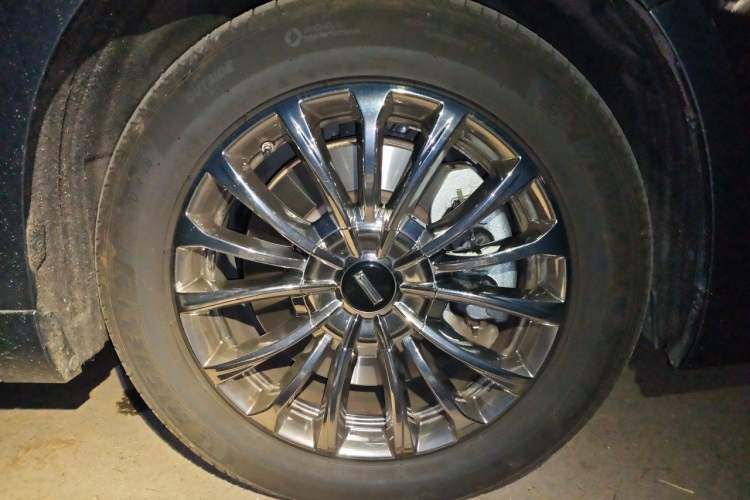 Used Wey Gaoshan 2023 Four-Wheel-Drive Executive Extended Version Exterior 1