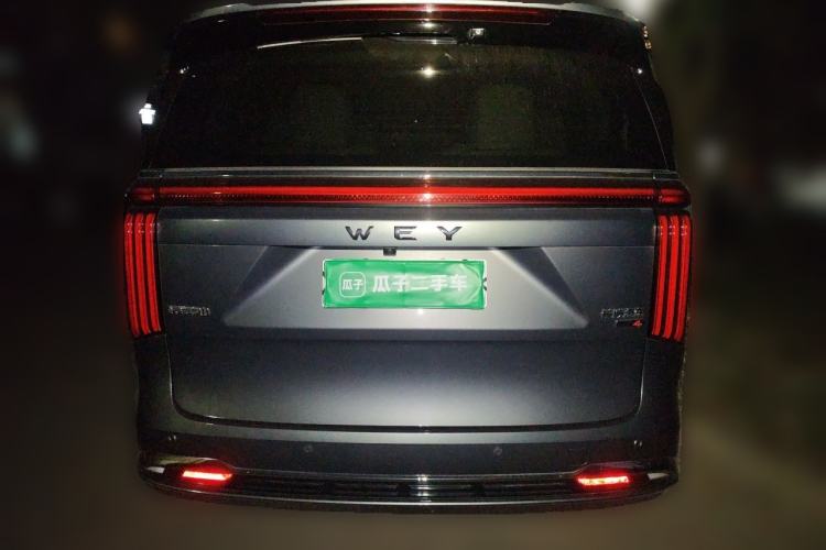 Used Wey Gaoshan 2023 Four-Wheel-Drive Executive Extended Version Rear