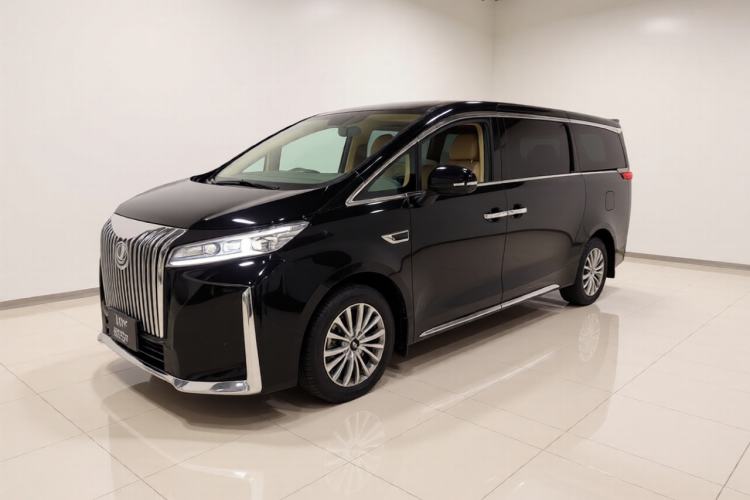 Wey Gaoshan 2023 Four-Wheel-Drive Executive Extended Version