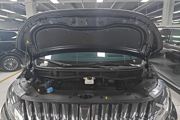 Used Wey Gaoshan 2023 Four-Wheel-Drive Executive Extended Version Engine Bay