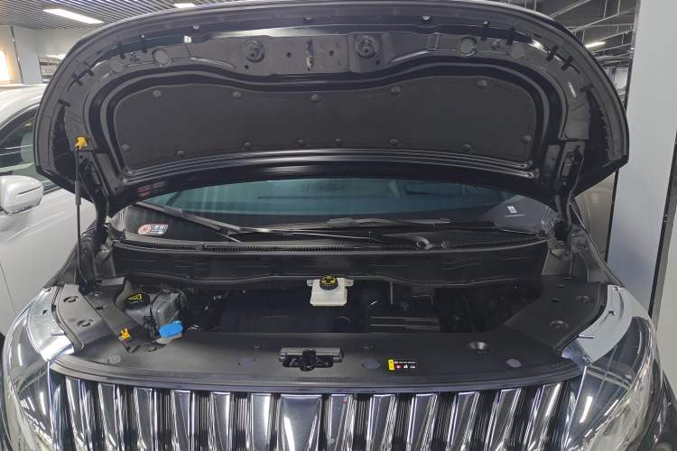 Used Wey Gaoshan 2023 Four-Wheel-Drive Executive Extended Version Engine Bay