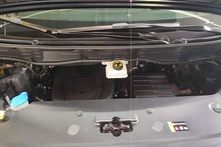 Used Wey Gaoshan 2023 Four-Wheel-Drive Executive Extended Version Engine Bay
