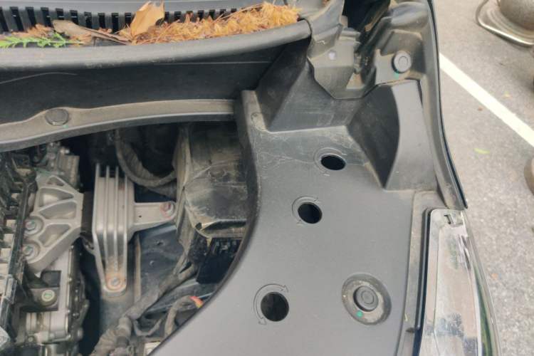 Used Wey Gaoshan 2023 Four-Wheel-Drive Executive Extended Version Engine Bay Left