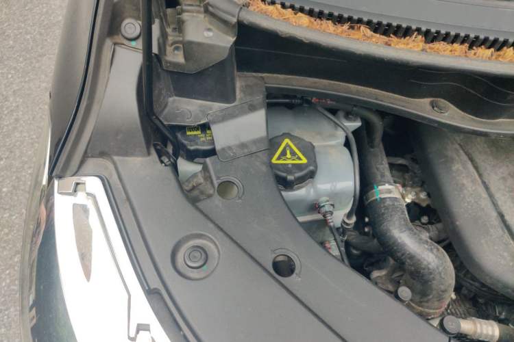 Used Wey Gaoshan 2023 Four-Wheel-Drive Executive Extended Version Engine Bay Right