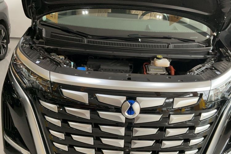 Used Wey Gaoshan 2023 Four-Wheel-Drive Executive Extended Version Engine Bay