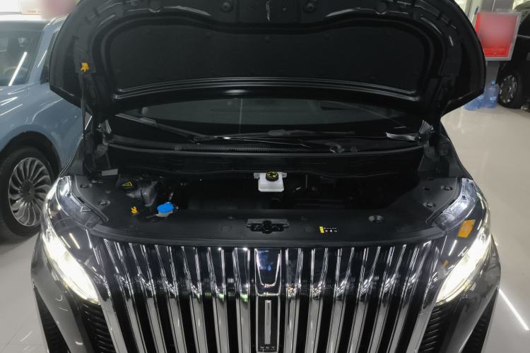 Used Wey Gaoshan 2023 Four-Wheel-Drive Executive Extended Version Engine Bay