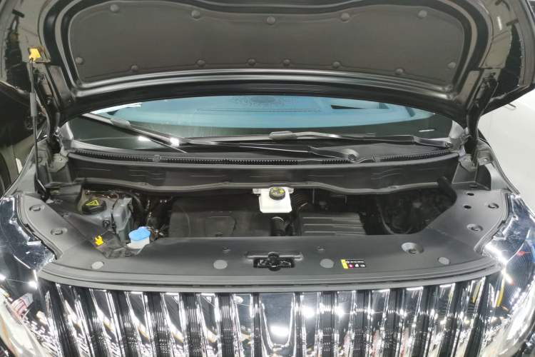 Used Wey Gaoshan 2023 Four-Wheel-Drive Executive Extended Version Engine Bay