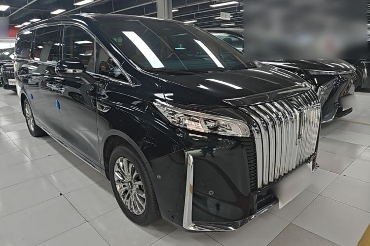 Used Wey Gaoshan 2023 Four-Wheel-Drive Executive Extended Version Exterior 1