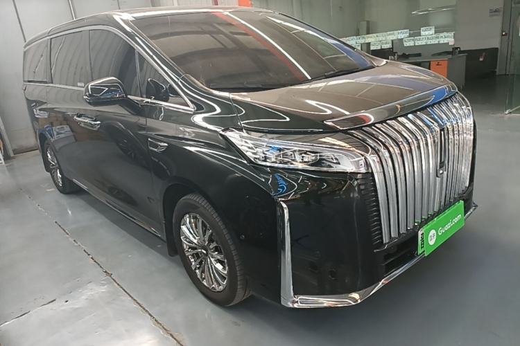 Used Wey Gaoshan 2023 Four-Wheel-Drive Executive Extended Version Exterior 1
