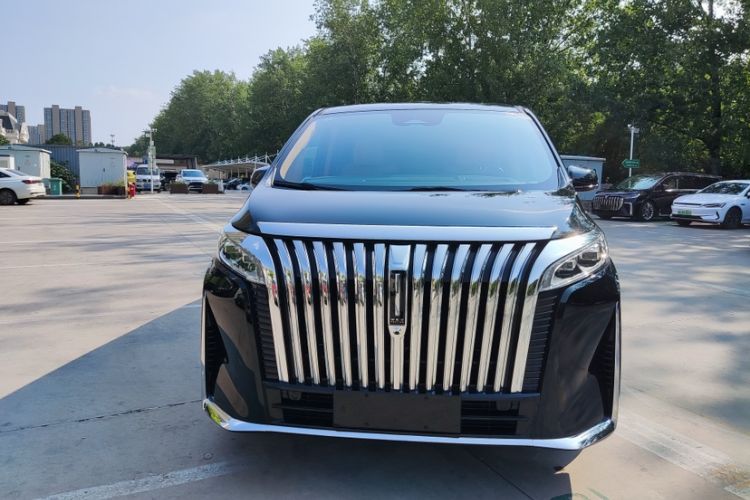 Used Wey Gaoshan 2023 Four-Wheel-Drive Executive Extended Version Exterior 12
