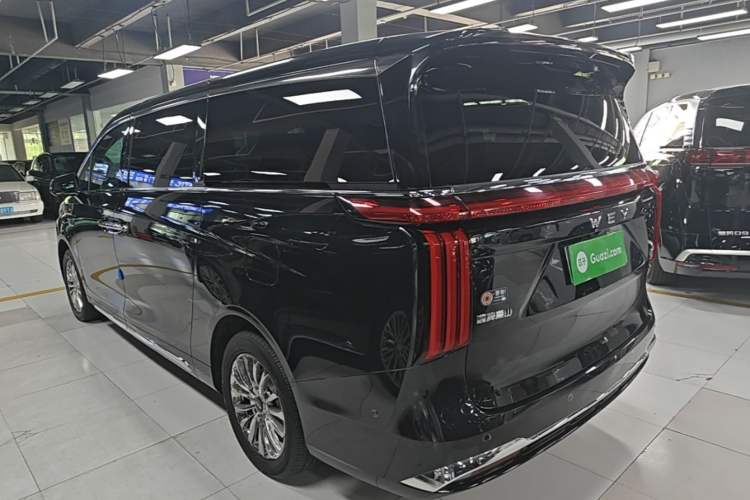 Used Wey Gaoshan 2023 Four-Wheel-Drive Executive Extended Version Exterior 2