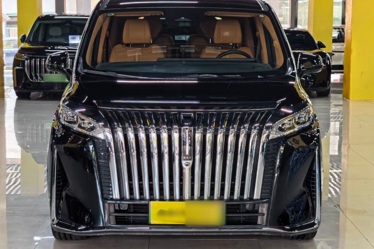 Used Wey Gaoshan 2023 Four-Wheel-Drive Executive Extended Version Exterior 2