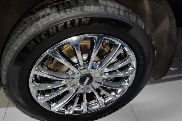 Used Wey Gaoshan 2023 Four-Wheel-Drive Executive Extended Version Exterior 2
