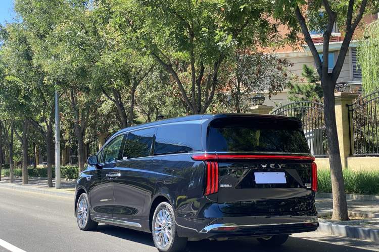 Used Wey Gaoshan 2023 Four-Wheel-Drive Executive Extended Version Exterior 3