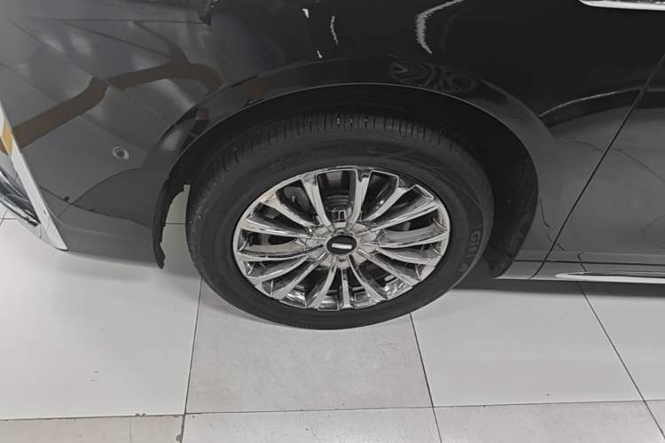 Used Wey Gaoshan 2023 Four-Wheel-Drive Executive Extended Version Exterior 4