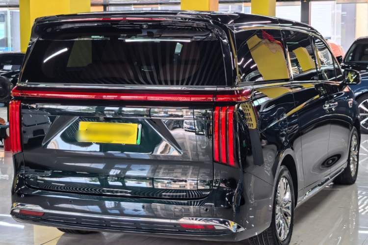 Used Wey Gaoshan 2023 Four-Wheel-Drive Executive Extended Version Exterior 4