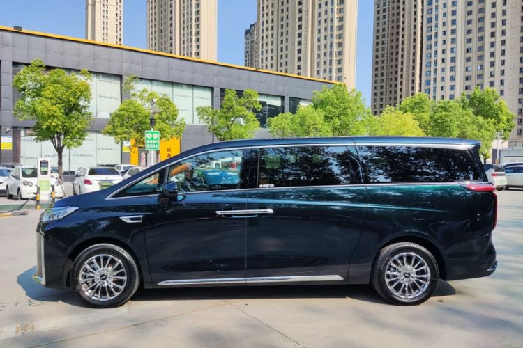 Used Wey Gaoshan 2023 Four-Wheel-Drive Executive Extended Version Exterior 4