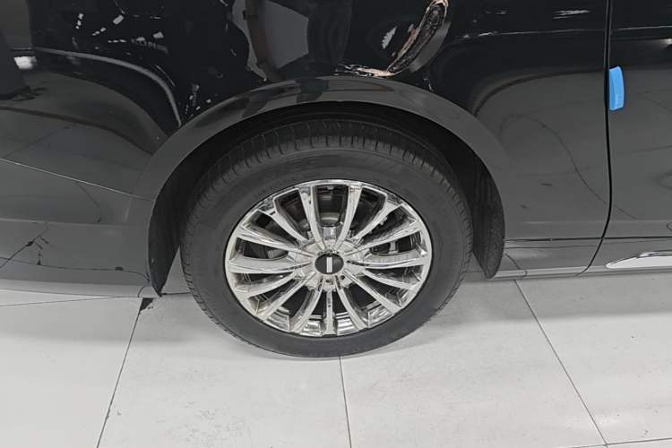 Used Wey Gaoshan 2023 Four-Wheel-Drive Executive Extended Version Exterior 5
