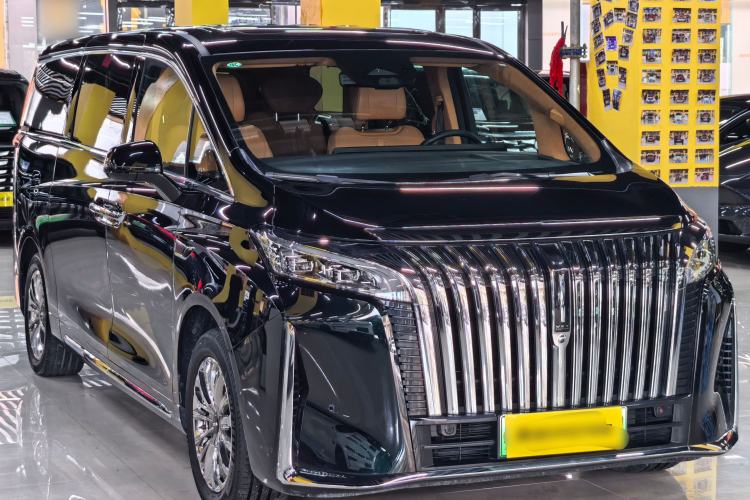 Used Wey Gaoshan 2023 Four-Wheel-Drive Executive Extended Version Exterior 5
