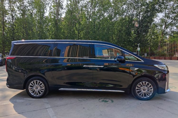 Used Wey Gaoshan 2023 Four-Wheel-Drive Executive Extended Version Exterior 5