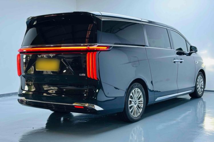 Used Wey Gaoshan 2023 Four-Wheel-Drive Executive Extended Version Exterior 6