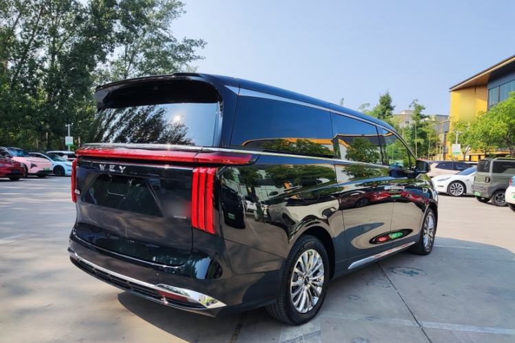 Used Wey Gaoshan 2023 Four-Wheel-Drive Executive Extended Version Exterior 6