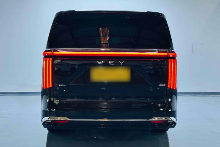 Used Wey Gaoshan 2023 Four-Wheel-Drive Executive Extended Version Exterior 9