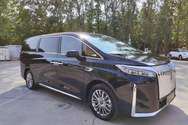 Used Wey Gaoshan 2023 Four-Wheel-Drive Executive Extended Version Exterior 9