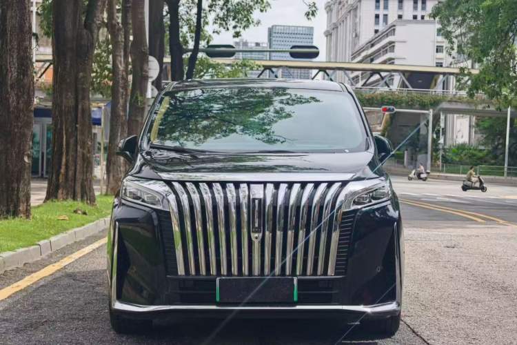 Used Wey Gaoshan 2023 Four-Wheel-Drive Executive Extended Version Front