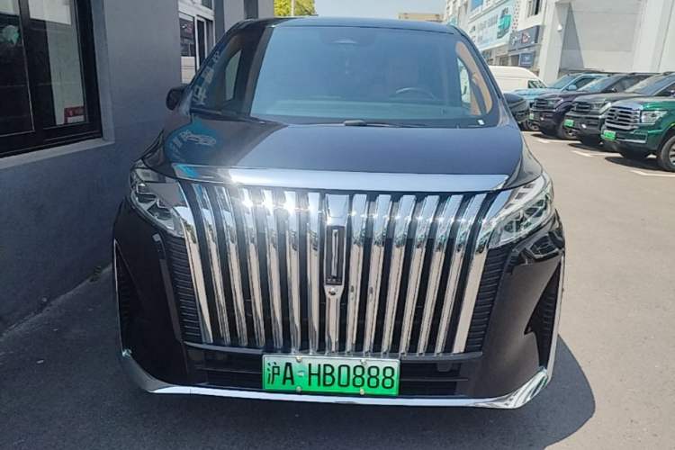 Used Wey Gaoshan 2023 Four-Wheel-Drive Executive Extended Version Front