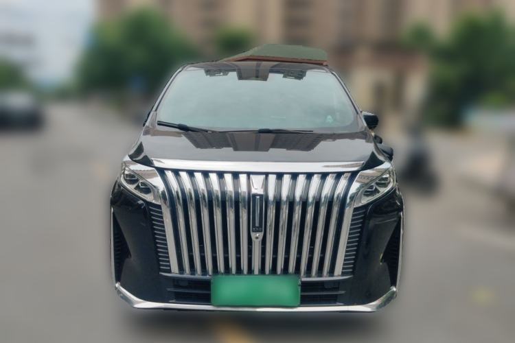 Used Wey Gaoshan 2023 Four-Wheel-Drive Executive Extended Version Front