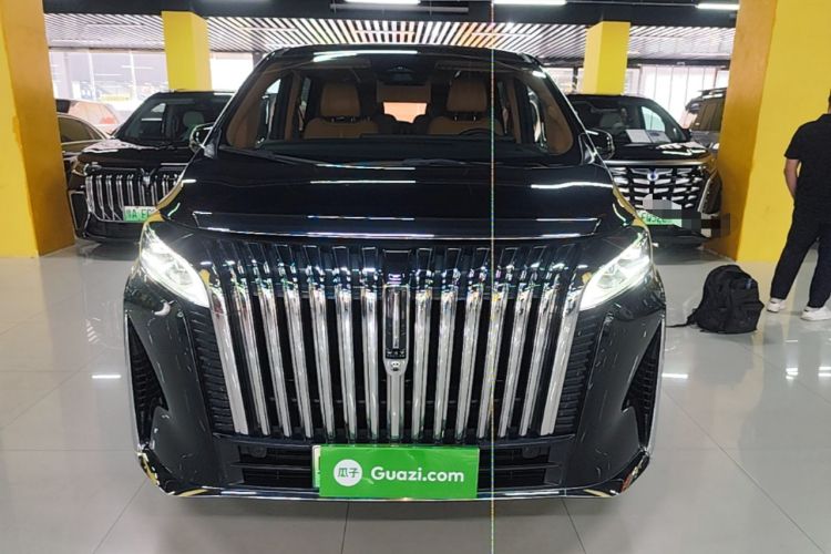 Used Wey Gaoshan 2023 Four-Wheel-Drive Executive Extended Version Front