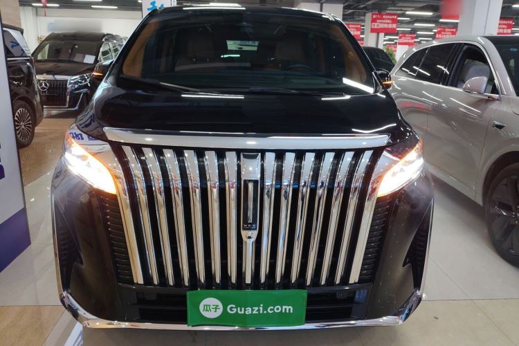 Used Wey Gaoshan 2023 Four-Wheel-Drive Executive Extended Version Front