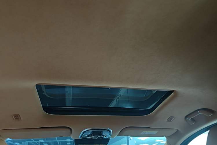 Used Wey Gaoshan 2023 Four-Wheel-Drive Executive Extended Version Headliner