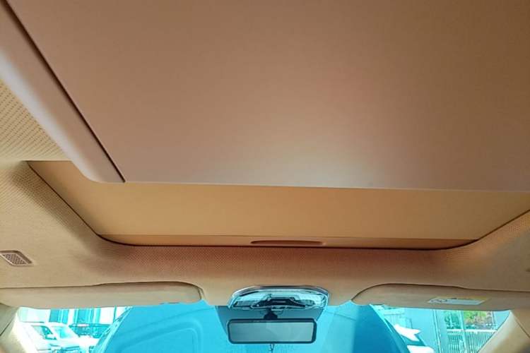 Used Wey Gaoshan 2023 Four-Wheel-Drive Executive Extended Version Headliner