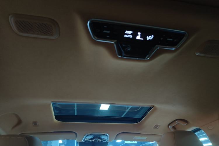 Used Wey Gaoshan 2023 Four-Wheel-Drive Executive Extended Version Headliner