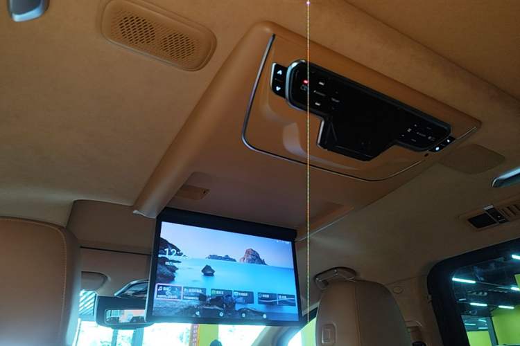 Used Wey Gaoshan 2023 Four-Wheel-Drive Executive Extended Version Headliner