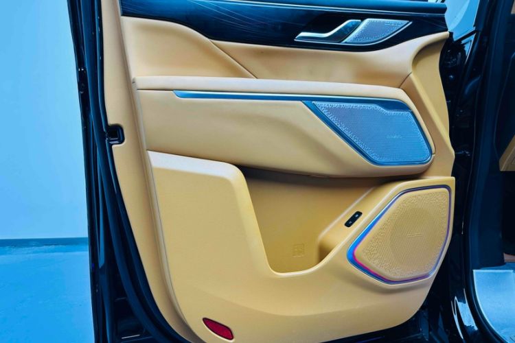 Used Wey Gaoshan 2023 Four-Wheel-Drive Executive Extended Version Interior 9