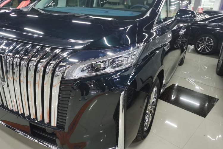 Used Wey Gaoshan 2023 Four-Wheel-Drive Executive Extended Version Left Front Headlight