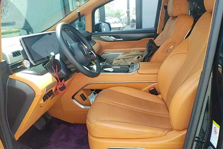 Used Wey Gaoshan 2023 Four-Wheel-Drive Executive Extended Version Left Front Seat