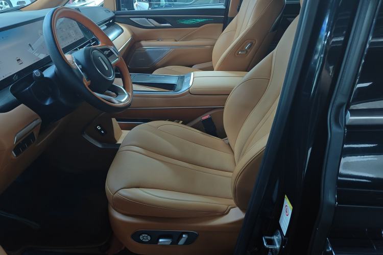 Used Wey Gaoshan 2023 Four-Wheel-Drive Executive Extended Version Left Front Seat