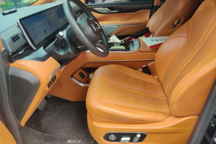 Used Wey Gaoshan 2023 Four-Wheel-Drive Executive Extended Version Left Front Seat