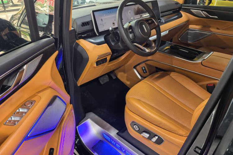 Used Wey Gaoshan 2023 Four-Wheel-Drive Executive Extended Version Left Front Seat