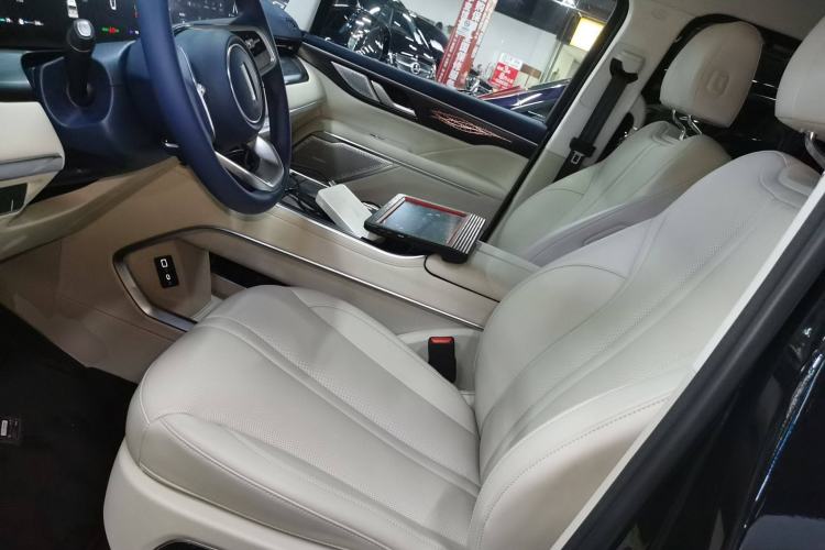 Used Wey Gaoshan 2023 Four-Wheel-Drive Executive Extended Version Left Front Seat